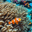 AI clown fish in a coral reef. Aquarium with saltwater underwater world. Fish