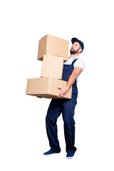 Canvas Print - Full size body portrait of busy attractive deliver in blue uniform with stubble, having three heavy big boxes in arms, isolated on grey background, trying to withhold