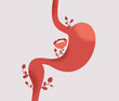 Healthy human stomach in bloom.Good gastric and duodenum function. Digestive wellness and balance. Creativity vector illustration