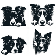 PEEKING BORDER COLLIE Svg, Peeking Border Collie Clipart, Peeking Border Collie Dog Svg Files For Cricut