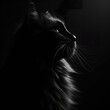 A black cat in rim light profile, with the light shining on its fur. The background is black