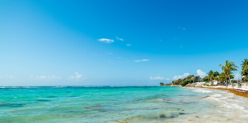 Wall Mural - Blue sky over a tropical beach