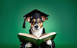 Smart dog holding open book on an green background with space for text, education concept.