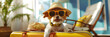 A dog on a beach wearing sunglasses and a blue and white dog wearing sunglasses. 