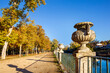 Historical flower pots, river Tagus and poplars in fall time at The Island Garden. Aranjuez Madrid. Spain. Europe.