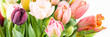 Elegant mixed pastel colored spring bouquet on white background. Spring tulips. Tulips bouquet banner.