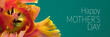 Happy mothers day banner. Mothers day card design. floral background.