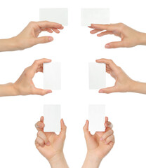 Wall Mural - Set of Hands, which holding white blank card, isolated on transparent background
