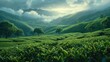 The green tea plantation in the hills with soft lighting. Generative AI.
