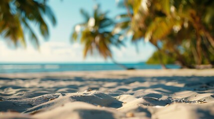 Wall Mural - Summer sandy beach with blur palm trees on background