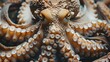A close up of an octopus with its arms entangled. Generative AI.