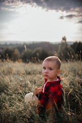 Wall Mural - boy of two years old in a hat and red shirt in a field