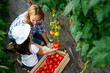 © NDABCREATIVITY - Happy mother having fun gardening with little daughter while picking up fresh tomato.