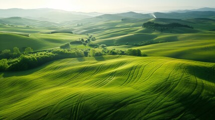 Canvas Print - Green field with rolling hills and distant trees