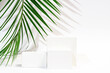 © ADDICTIVE STOCK - Minimalist product display podiums with tropical palm leaf