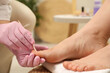 Professional pedicurist working with client`s toenails in beauty salon, closeup
