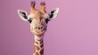 Delightful Baby Giraffe Wearing Cute Outfit Smiling On Vivid Purple Background