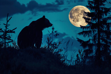 a bear sitting on a hill looking at the moon