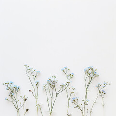 Canvas Print - White, empty background with flowers along the bottom edge
