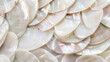 Background of mother-of-pearl shells
