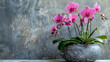 Vibrant Pink Orchids in Stone Pot on Textured Grey Background