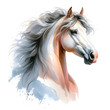 Horse. A white horse. Horse head. Mare. Portrait. Watercolor. Isolated illustration on a white background. Banner. Close-up