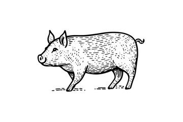 Wall Mural - Vintage Pig Vector Sketch: Hand-Drawn Illustration of Farm Animal.