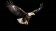 Portrait of Bald Eagle Flying in the Air, Isolated

