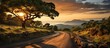 Panoramic view of a road through the African savannah at sunset