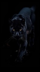 Wall Mural - Amazing puma background HD wallpaper