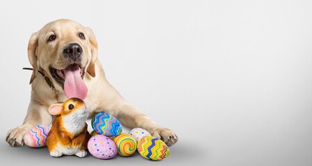 Canvas Print - Banner with dog and Easter basket eggs