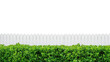 White Wooden Fence and Green Shrubbery on Transparent Background