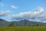 Fototapeta Góry - Kauai Hawaii Mountain Landscape Greenery, Mountains, Summer, Blue Sky