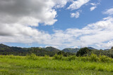 Fototapeta Góry - Kauai Hawaii Dense Forest Coverage on Road Side, Summer Landscape, Kauai Mountains