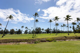 Fototapeta Góry - Golf Courses in Kauai Hawaii Island Activities, Sunny Day, Kauai Golfing