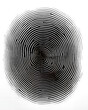 image of  fingerprints isolated  background png