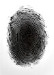 image of  fingerprints  isolated  background png
