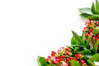 Summer pattern with green plants and red berries on white background top view mockup