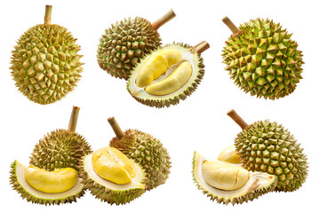 Wall Mural - Durian durians fruit, many angles and view side top front group sliced halved cut isolated on transparent background cutout, PNG file. Mockup template for artwork graphic design