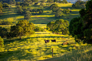 Sticker - landscape with field