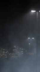 Wall Mural - Vertical City Silhouette Street Lamps with Fog 4K Loop features fog rolling by with street lights in the foreground and twinkling lights of a city silhouette in the background in a vertical ratio loop