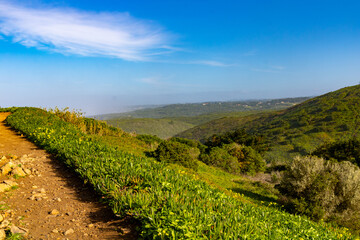 Hillls near Praia da Ursa in Portugal