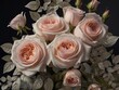 beautiful bouquet of pink roses on a black background close up