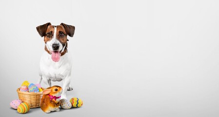 Poster - Banner with dog and Easter basket eggs