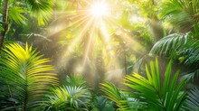   The Sun Shines Upon A Tropical Tree In The Foreground, Its Leaves Translucent With Sunlight A Similar Scene Unfolds Behind, The Sun's Rays Filtering Through The Fol
