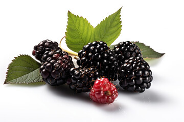 Wall Mural - Blackberries on background. Juicy black berries, fresh and sweet.