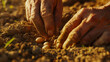 Close-up of a farmer's hands planting seeds in fertile soil.
