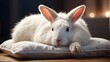 A photorealistic image of a cute white rabbit lying peacefully on a soft sleeping cushion. The scene captures the rabbit in a natural and relaxed posture, showcasing its fluffy fur and adorable featur