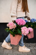 Bouquets of pink and blue flowers in the hands of a hidden face girl
