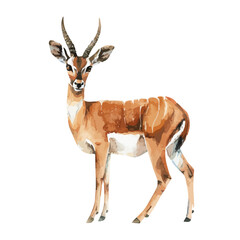 Watercolor painting of a antelope , isolated on a white background, antelope vector, drawing clipart, Illustration Vector, Graphic Painting, design art, logo